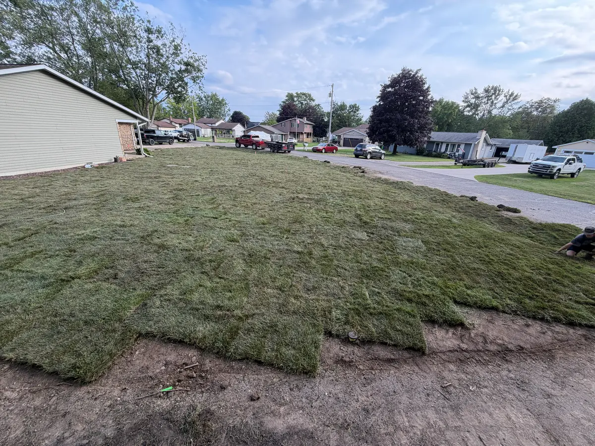 After — Full yard stripped, regraded, and sodded, front to back
