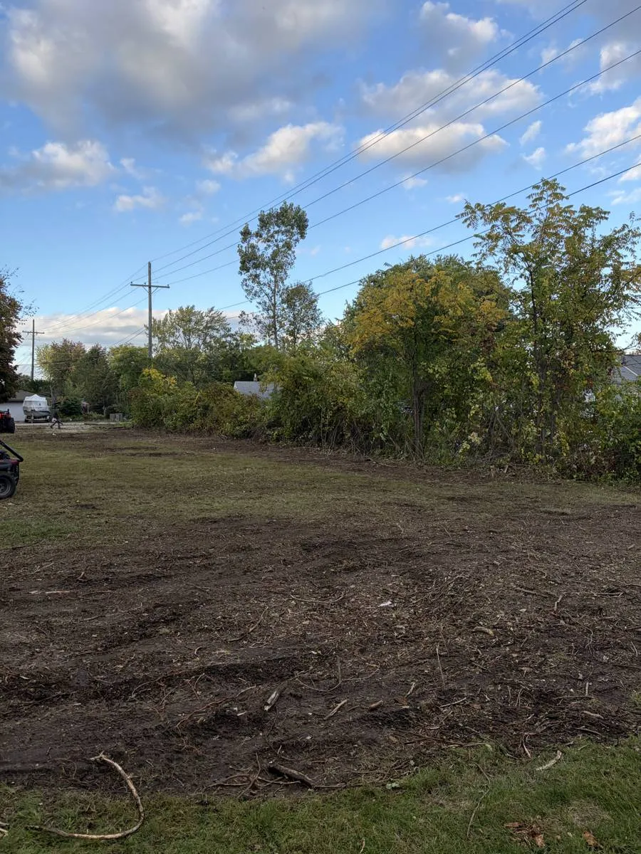 After — Overgrown lot line cleared down to the water