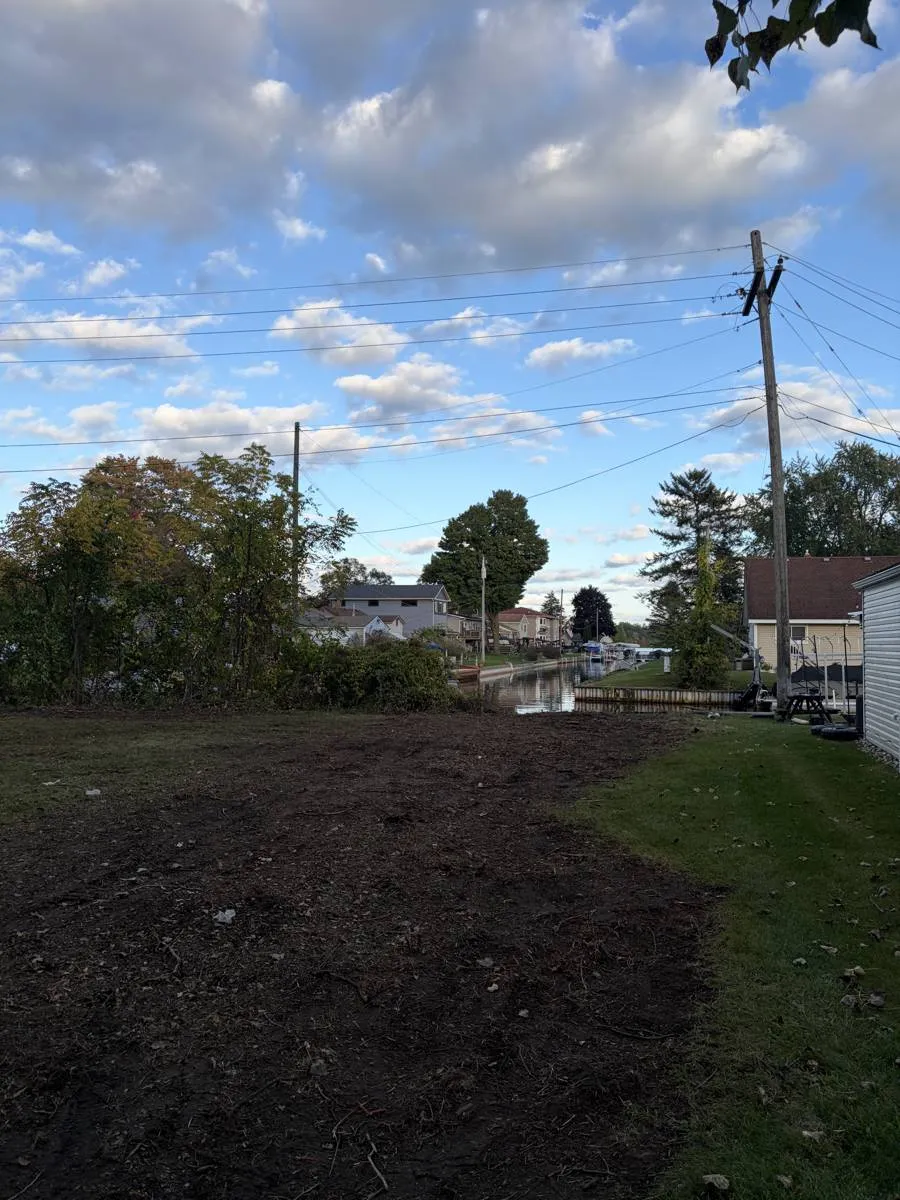 After — Overgrown lot line cleared down to the water