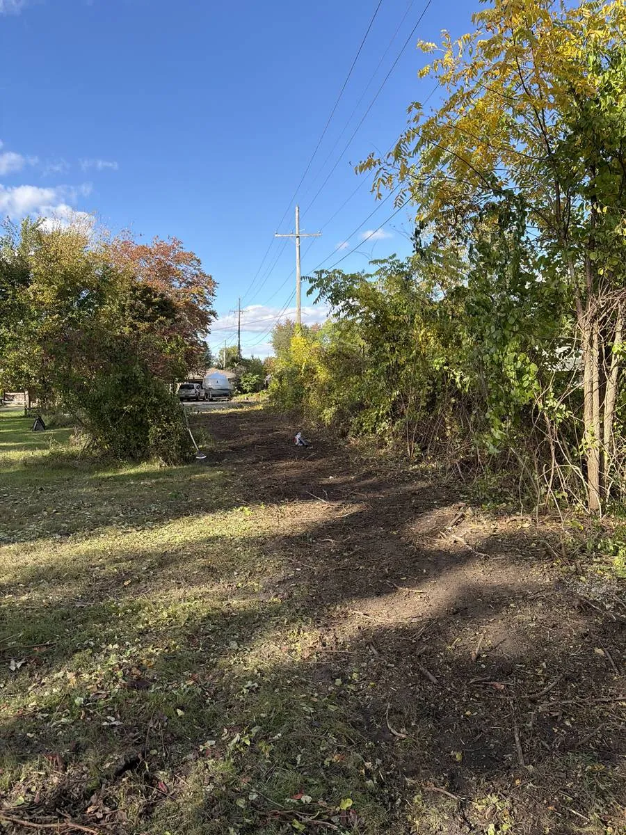 After — Overgrown lot line cleared down to the water
