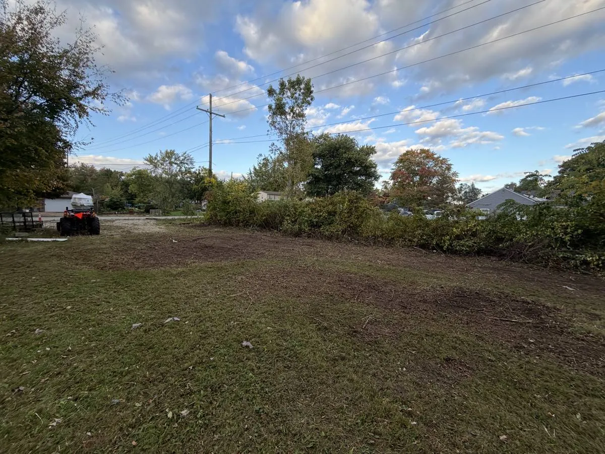 After — Overgrown lot line cleared down to the water