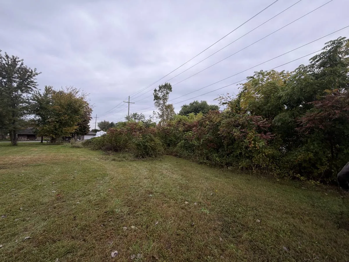 During — Overgrown lot line cleared down to the water