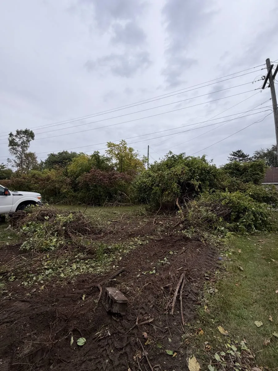 During — Overgrown lot line cleared down to the water